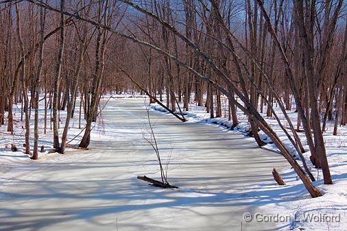 Frozen Creek_14651.jpg - Photographed near Quyon, Quebec, Canada.